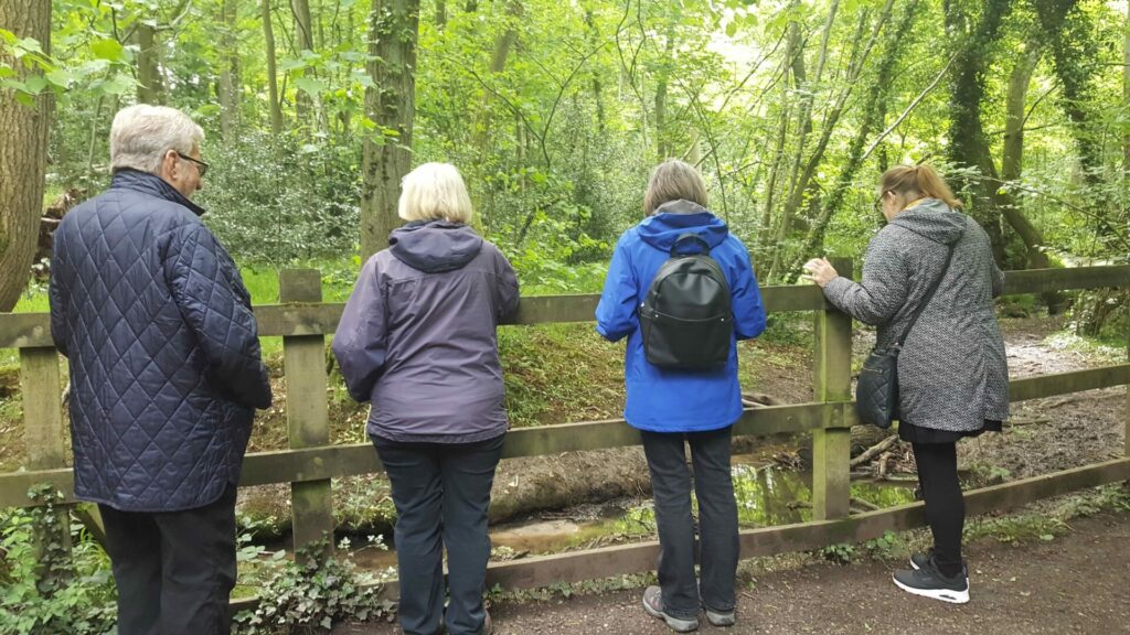 Two walkers admiring the woods